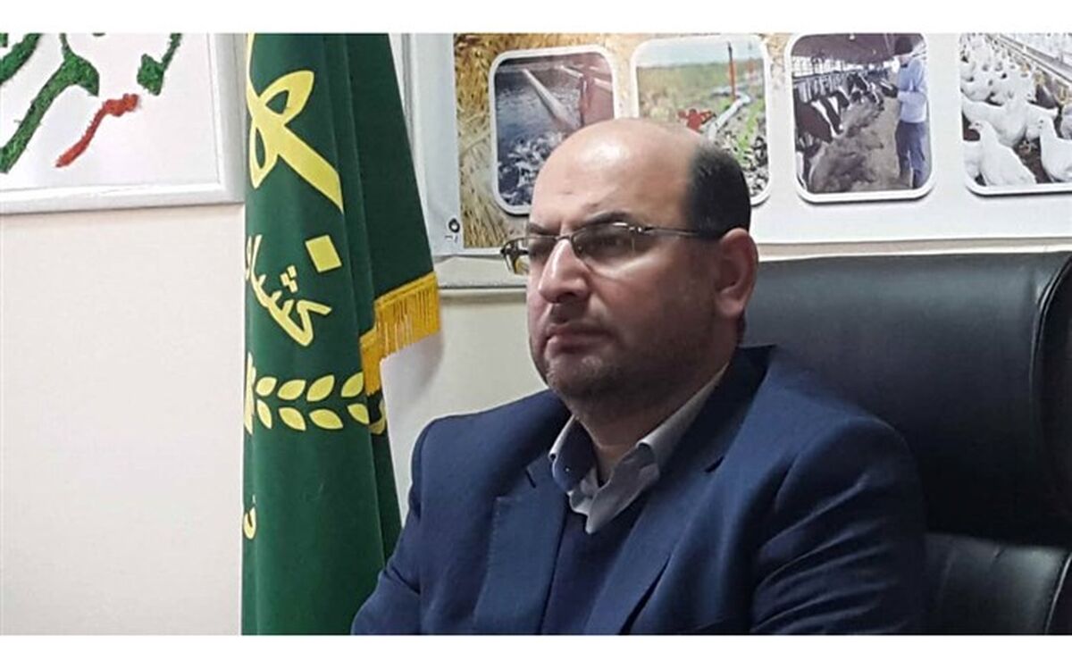 شبکه تعاون روستایی نیازمند نوآوری و خلاقیت است