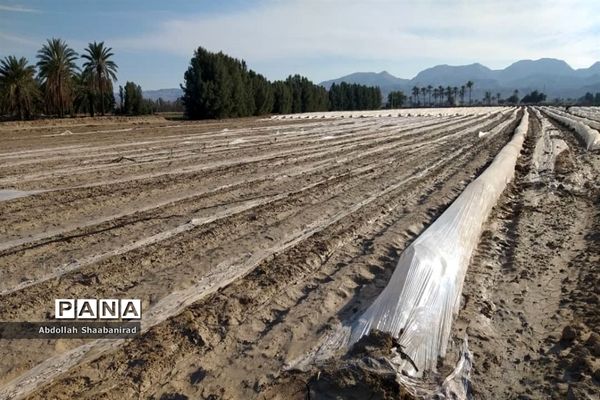 بیرم، ده روز پس از سیل