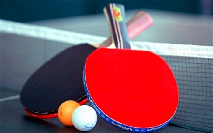 ۲ نماینده تنیس روی میز ایران در مسابقات آلمان شکست خوردند