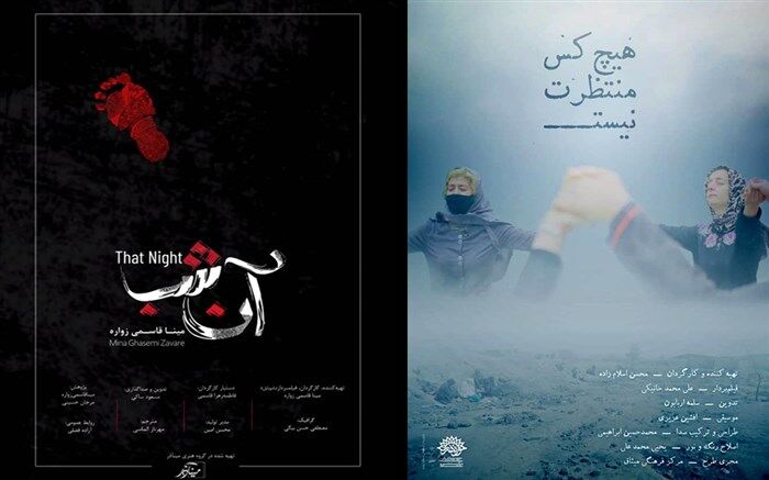 واکنش معاون دادستان نسبت به تعطیلی مرکز نگهداری زنان کارتن خواب