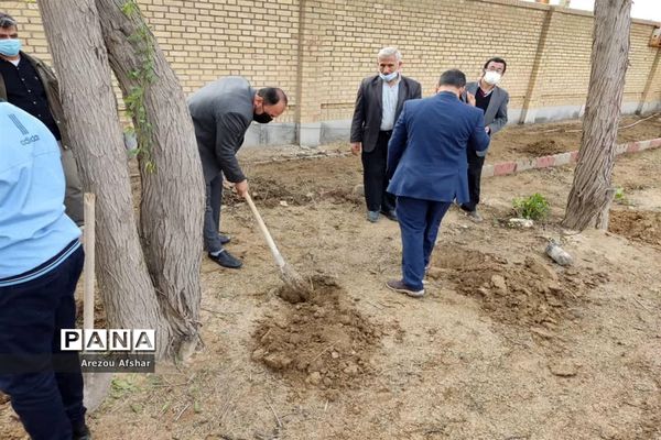 آیین کاشت نهال در بندر امام خمینی