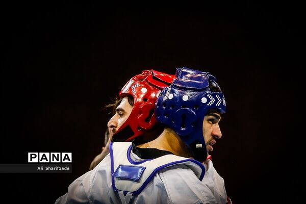 مسابقات لیگ برتر تکواندو