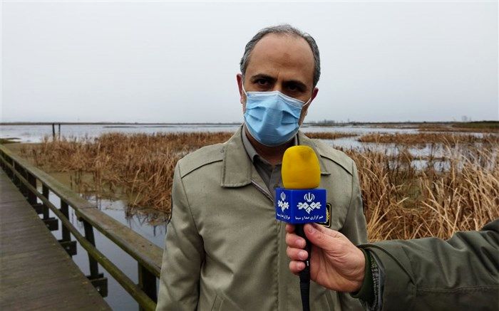 دانه پاشی برای پرندگان مهاجر گیلان