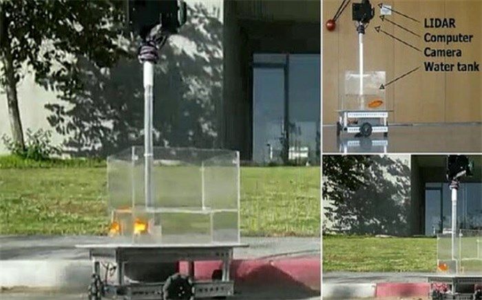 آموزش رانندگی به ماهی قرمز