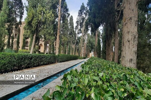 فین، مشهورترین باغ ایرانی در دل کویر کاشان
