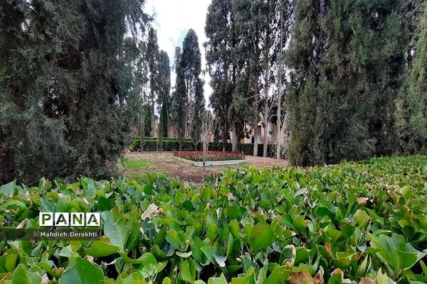 فین، مشهورترین باغ ایرانی در دل کویر کاشان
