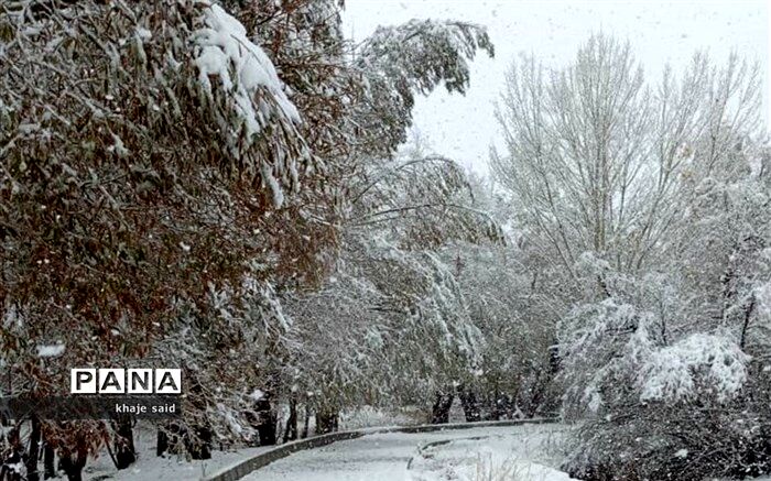 بارش برف تا هفته آینده ادامه دارد؛ دمای تهران به زیرصفر می‌رسد