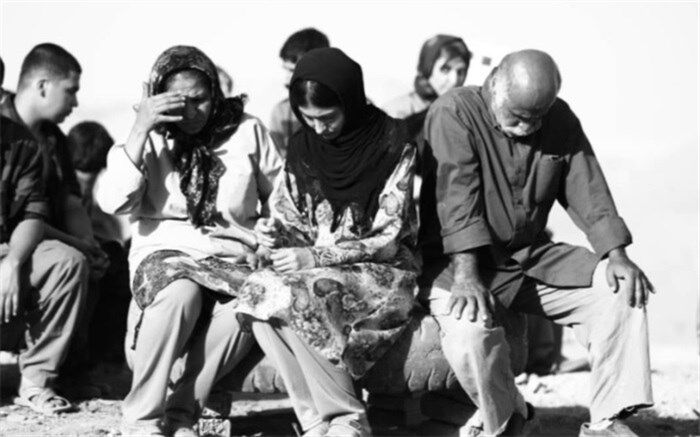 جایزه صلح نروژی به «دشت خاموش» رسید