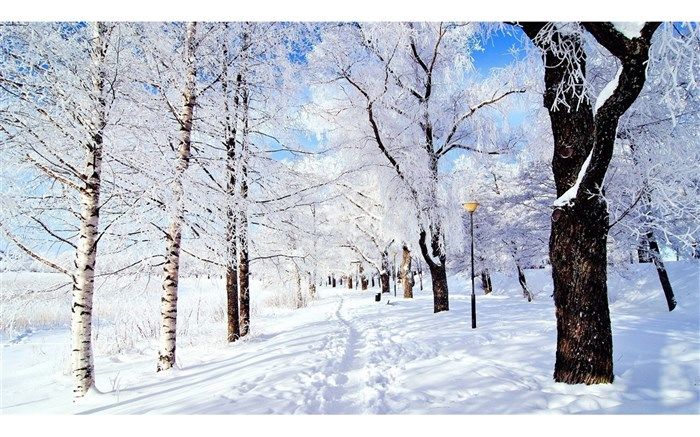 پیش‌بینی بارش برف در اردبیل