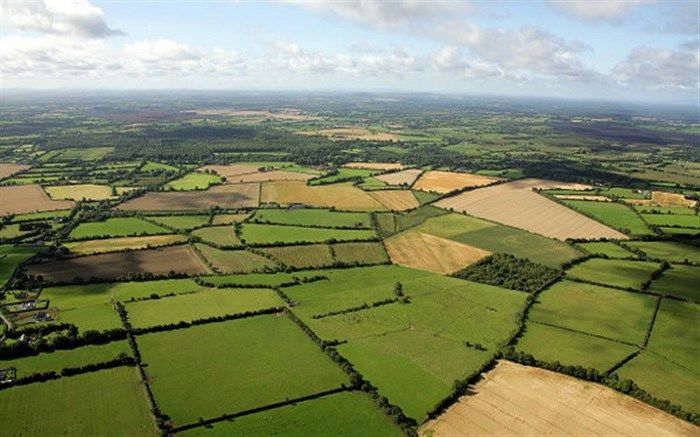 تغییر کاربری اراضی کشاورزی ممنوع است