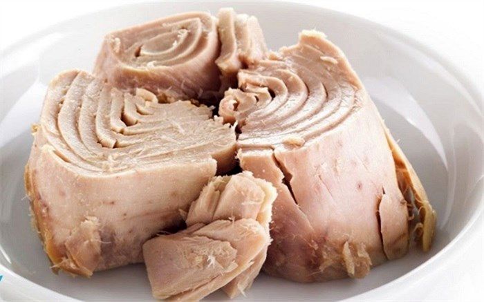 بررسی تاثیر بخشنامه جدید دولت بر بازار تن ماهی