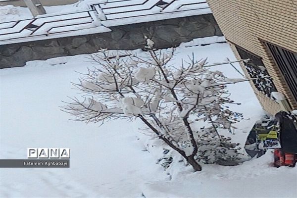 روز دل انگیز برفی درمنظریه شهرکرد