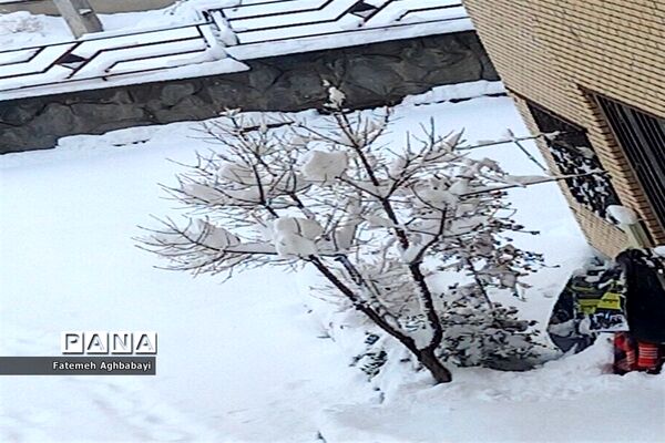 روز دل انگیز برفی درمنظریه شهرکرد