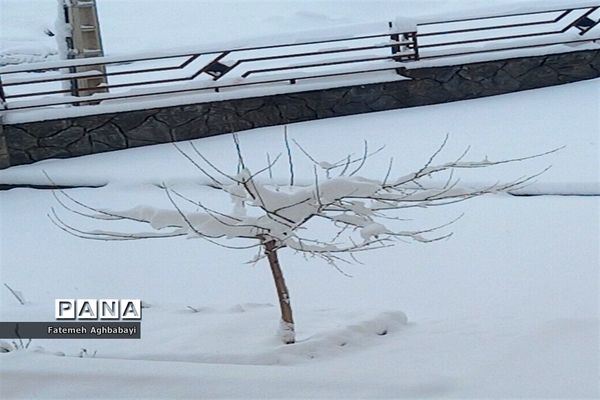 روز دل انگیز برفی درمنظریه شهرکرد