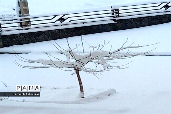روز دل انگیز برفی درمنظریه شهرکرد