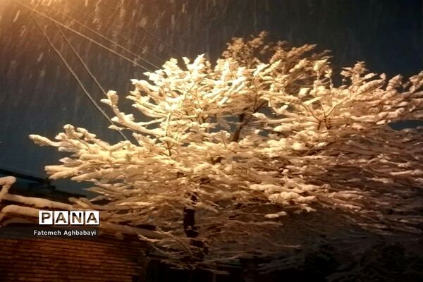 روز دل انگیز برفی درمنظریه شهرکرد