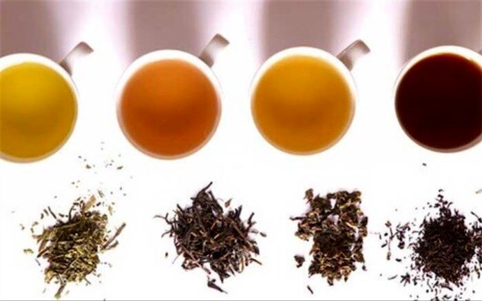 کدام چای ما را لاغر می‌کند؟