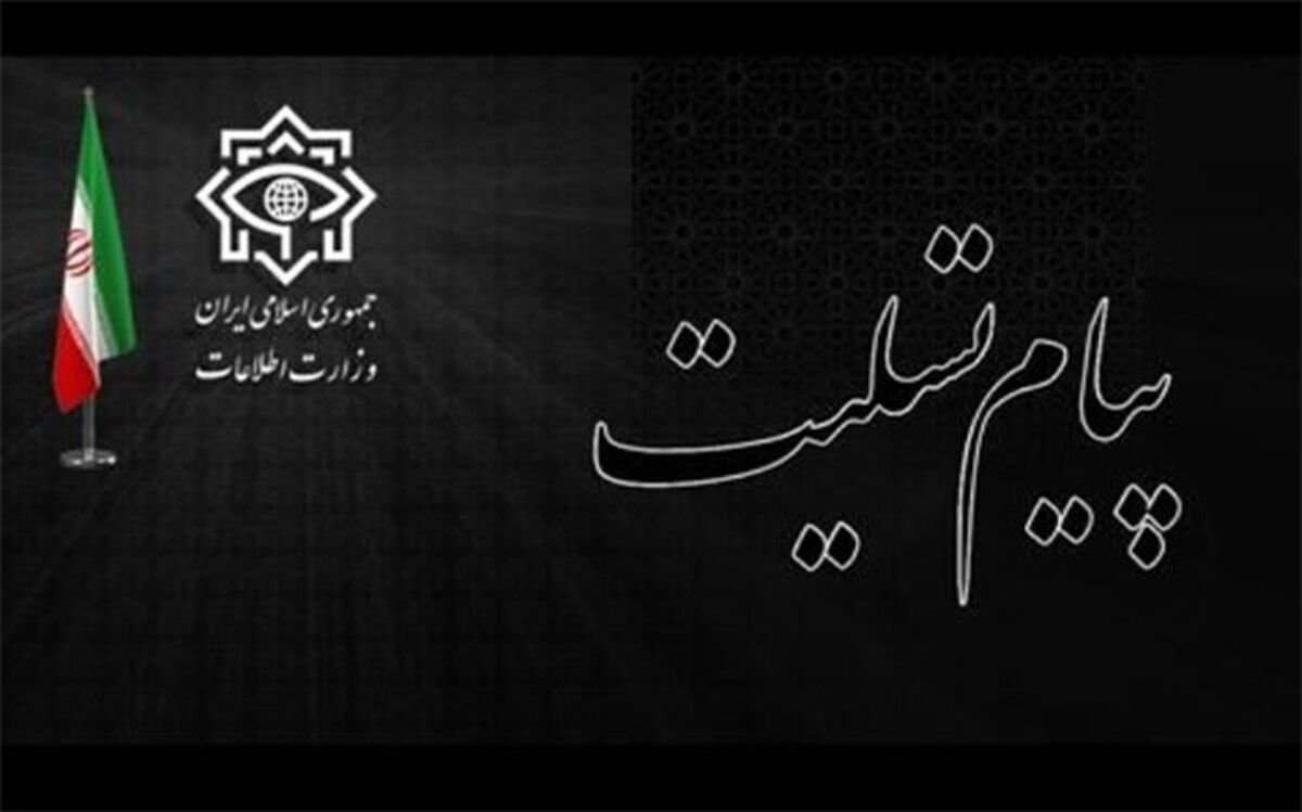 پیام تسلیت وزیر اطلاعات برای درگذشت آیت­‌الله­ صافی گلپایگانی