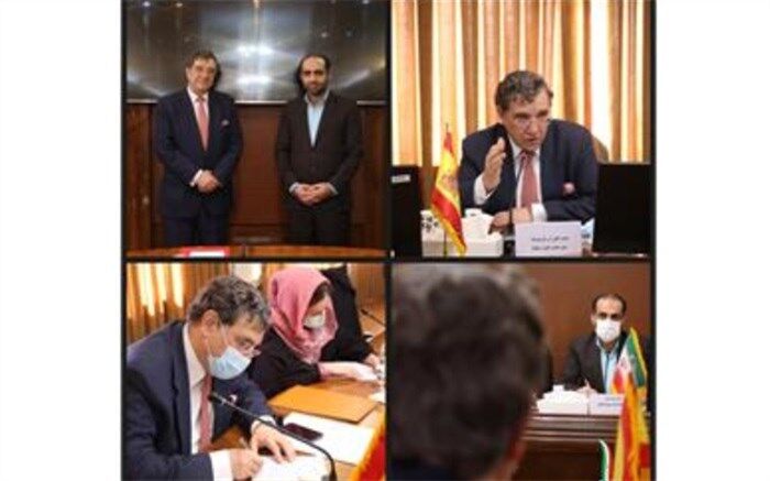 ایده معاون وزیر کار برای واگذاری پرسپولیس و استقلال