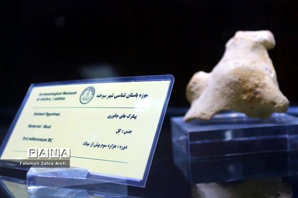 نظاره تمدنی ۵ هزار ساله در موزه شهر سوخته