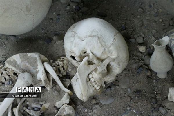 نظاره تمدنی ۵ هزار ساله در موزه شهر سوخته