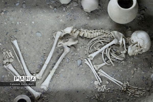 نظاره تمدنی ۵ هزار ساله در موزه شهر سوخته