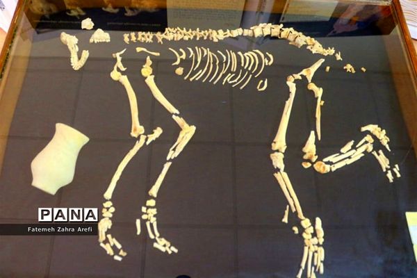 نظاره تمدنی ۵ هزار ساله در موزه شهر سوخته