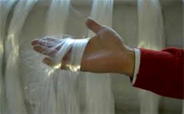 رکورد ۱۳ ساله تولید پیله ابریشم شکسته شد