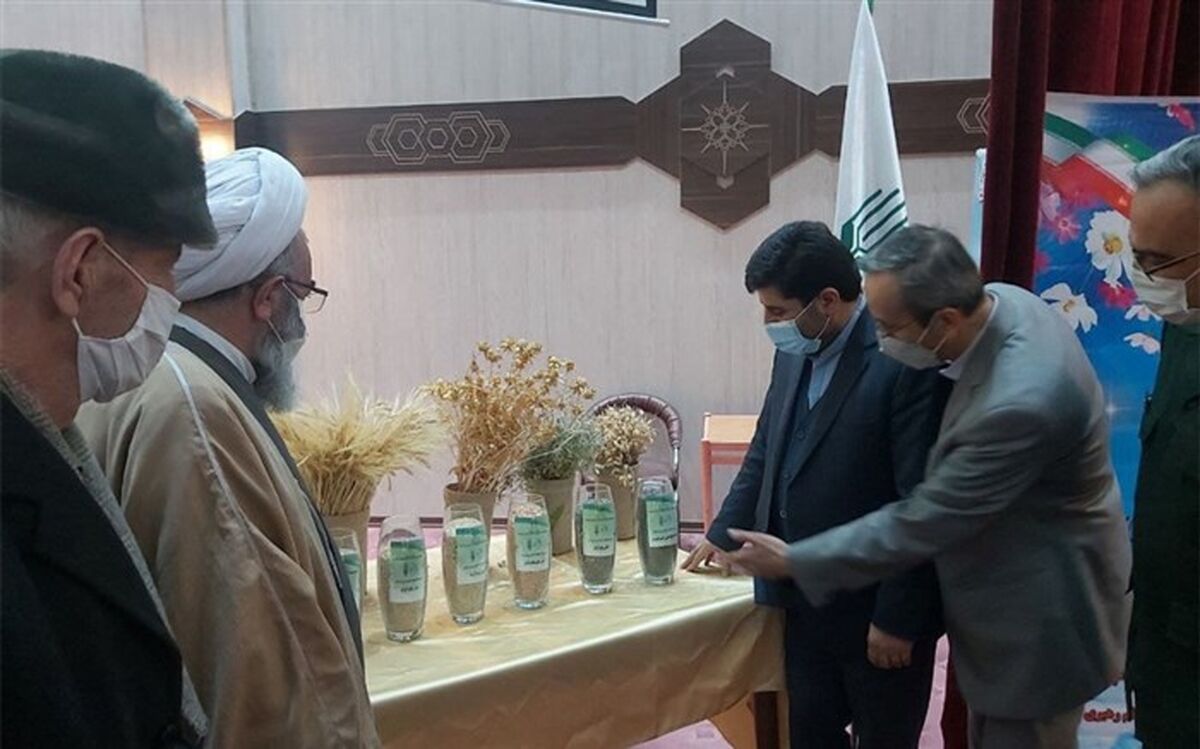 رونمایی از هفت رقم زراعی جدید در موسسه تحقیقات دیم کشور در مراغه