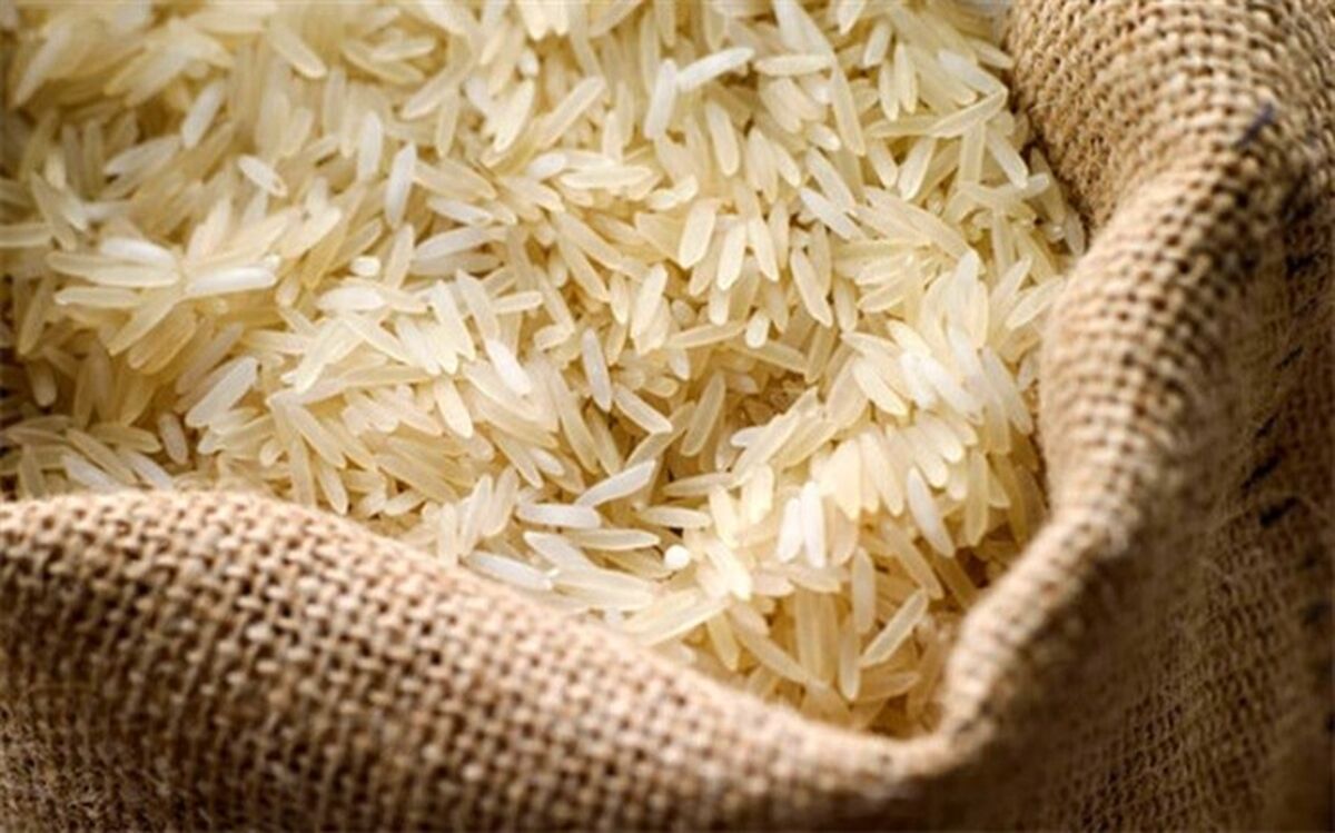 آغاز عرضه اینترنتی برنج ایرانی با قیمت ۳۲ تا ۴۲ هزار تومان از امروز