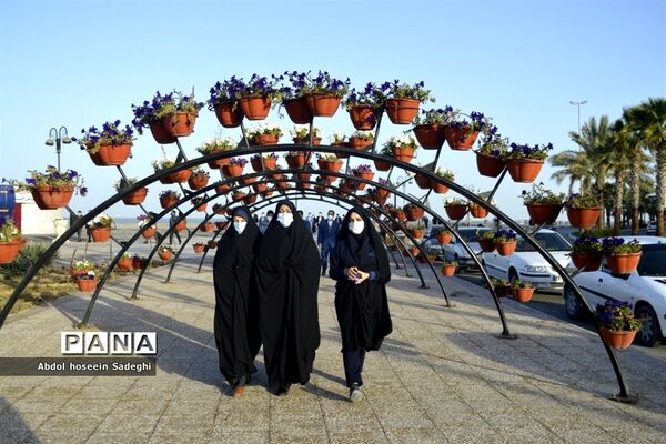 همایش پیاده‌روی همکاران فرهنگی در بوشهر