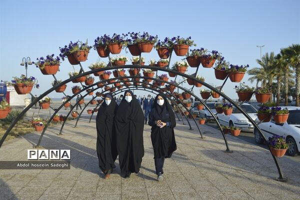 همایش پیاده‌روی همکاران فرهنگی در بوشهر