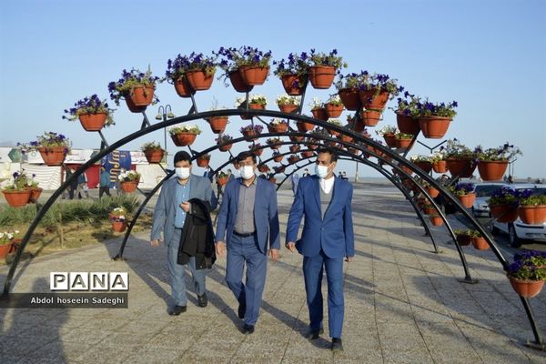 همایش پیاده‌روی همکاران فرهنگی در بوشهر