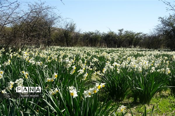 سفر یک روزه معاون استاندار و فرماندار ویژه شهرستان کازرون به بخش جره و بالاده