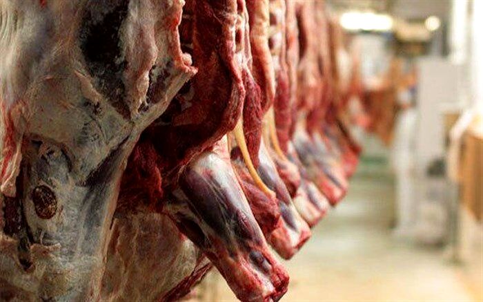 عرضه انواع گوشت قرمز با قیمت مناسب