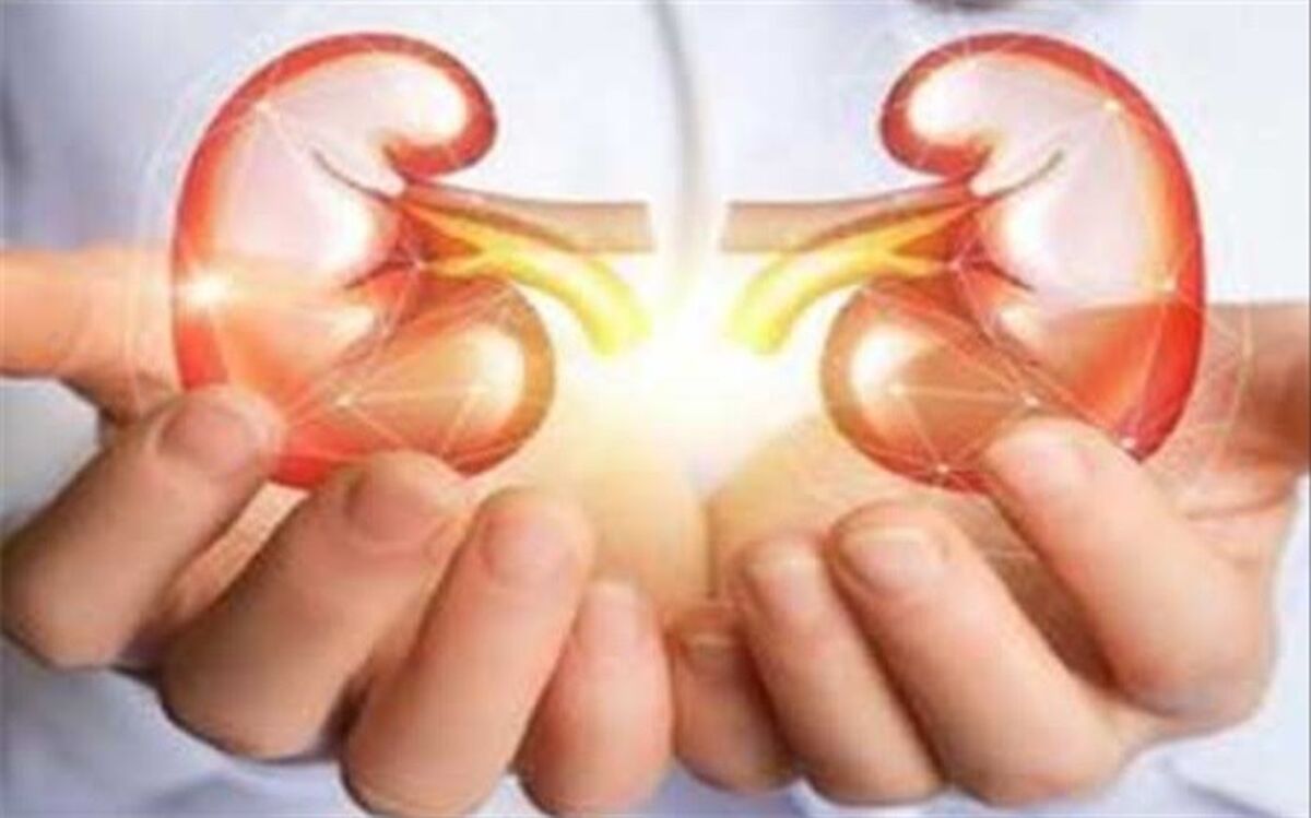 سلامت کلیه‌های خود را با این 9 نوشیدنی تضمین کنید