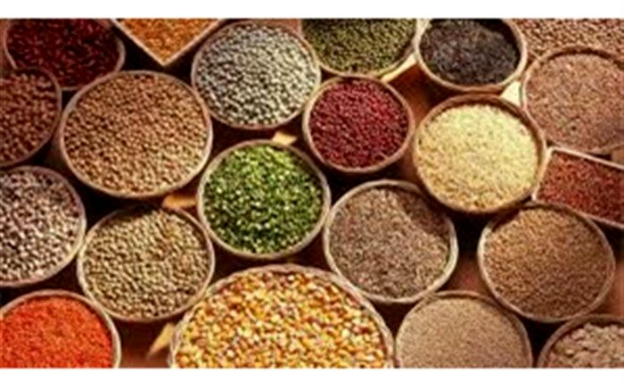 آخرین وضعیت غلات در بازارهای جهانی