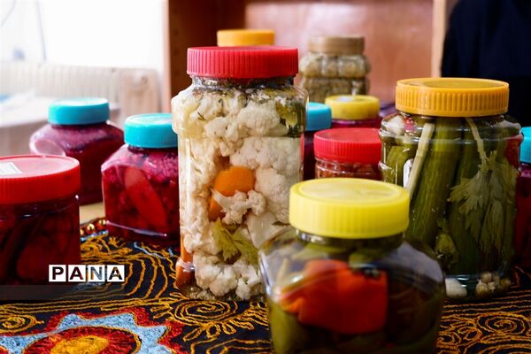 نمایشگاه دستاوردهای بانوان کارآفرین در البرز