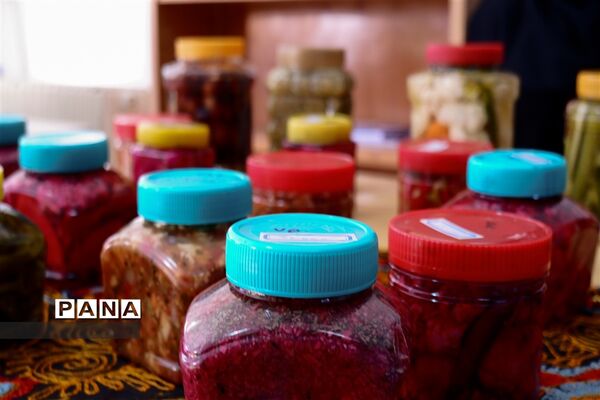 نمایشگاه دستاوردهای بانوان کارآفرین در البرز