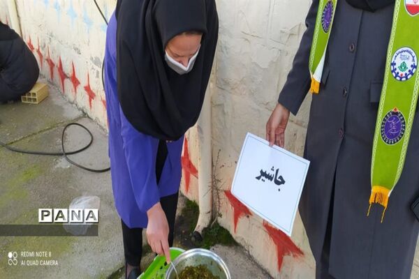 برپایی جشنواره غذاهای محلی و سنتی توسط مربیان پیشتاز کهگیلویه و بویراحمد