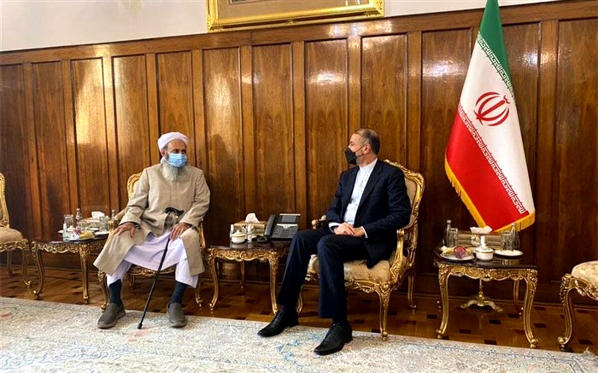 برنامه‌های جامع وزارت خارجه در استیفای حقوق ایرانیان خارج کشور