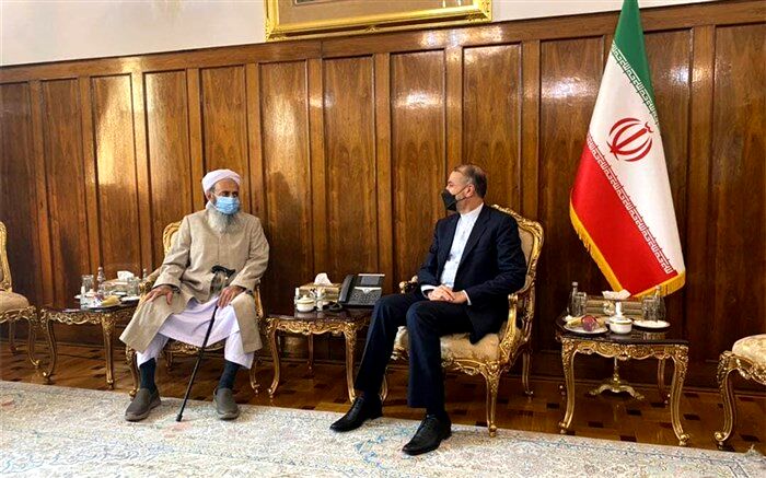 برنامه‌های جامع وزارت خارجه در استیفای حقوق ایرانیان خارج کشور