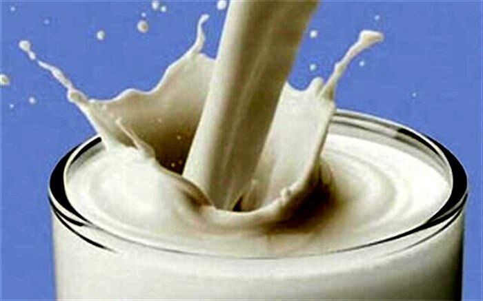 این 6 ماده غذایی نباید با شیر ترکیب شوند