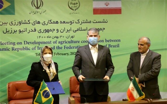 تهاتر نهاده‌های دامی و کود اوره با کشور برزیل