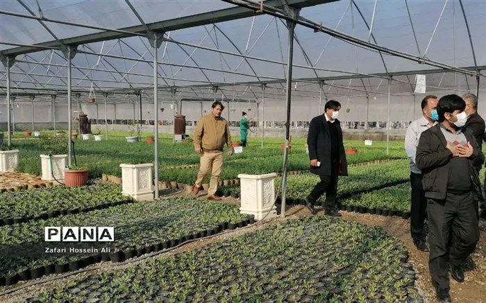 الکترونیکی شدن نسخه‌نویسی گیاهپزشکی، انقلابی درمصرف بهینه سم