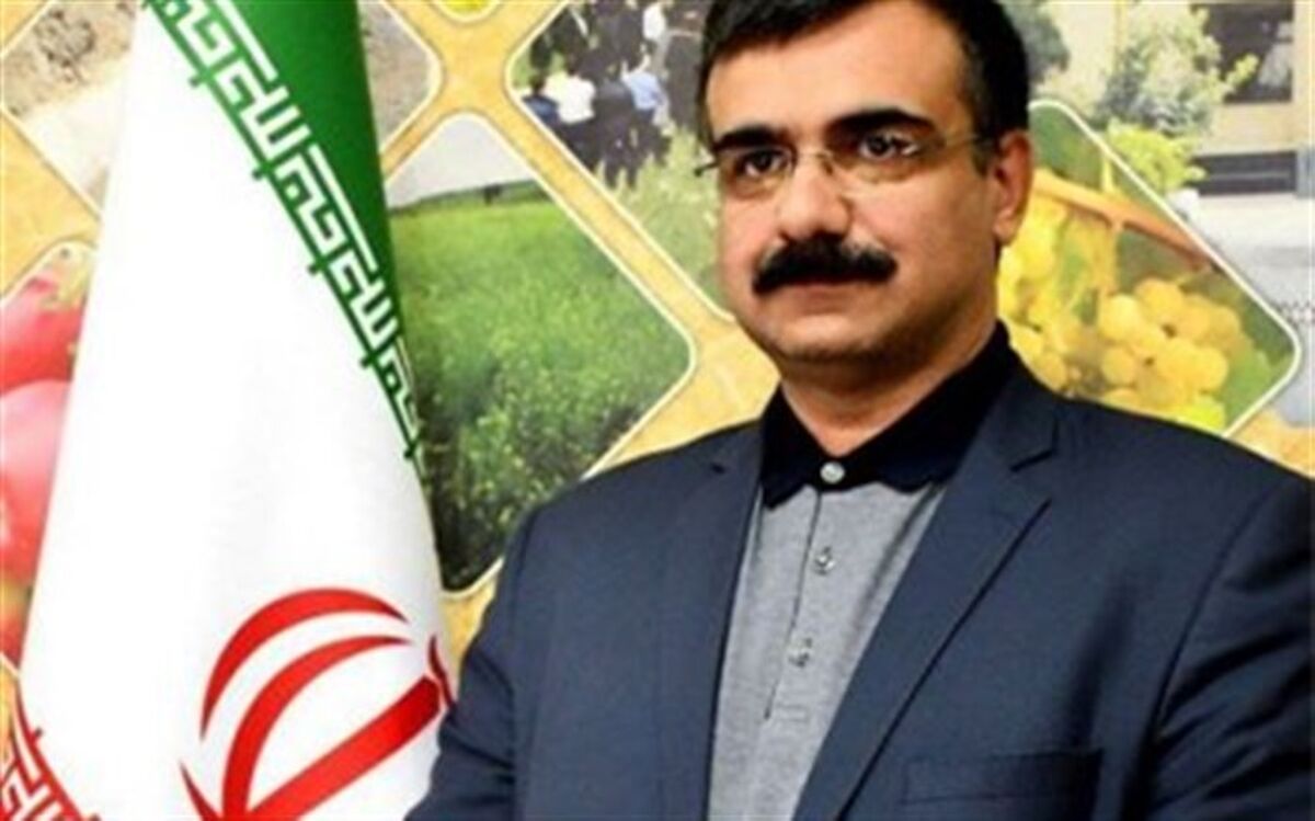 بی میلی مدیران اجرایی به استفاده از فناوری های نوین