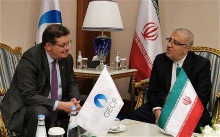 دیدار وزیر نفت با دبیرکل GECF