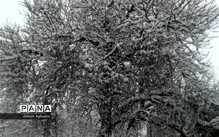 بارش برف و باران در اکثر محورهای مواصلاتی