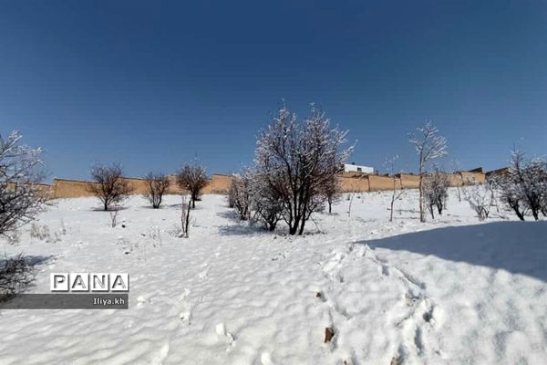 بارش اولین برف اسفند در فارسان