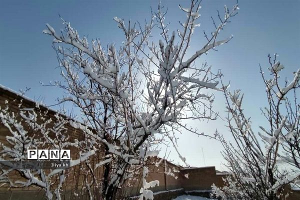 بارش اولین برف اسفند در فارسان